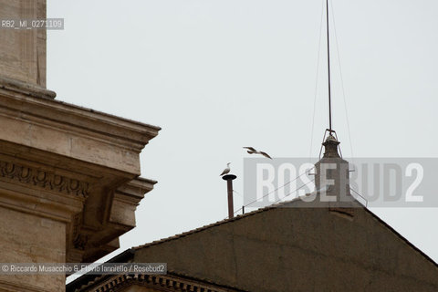 Vatican City, Italy - March 13 2013. Cardinal Jorge Mario Bergoglio, archbishop of Buenos Aires, elected as Pope Francesco. in the picture: a seagull perches on Sistine Chapel chimney.  ©Riccardo Musacchio & Flavio Ianniello/Rosebud2