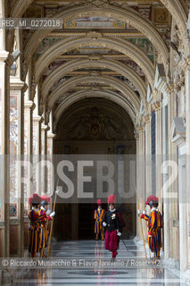 Città del Vaticano 11 04 2013.Sua Santità Papa Francesco riceve il primo ministro della Repubblica del Mozambico, Alberto Clementino Vaquina..Nella foto: Guardie Svizzere. ©Riccardo Musacchio & Flavio Ianniello/Rosebud2