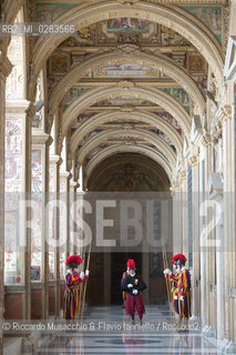 Città del Vaticano, 08 11 2013.Udienza del Santo Padre, Papa Francesco al Presidente della Repubblica del Costa Rica, S.E. la Sig.ra laura CHINCHILLA.Nella foto: Guardie Svizzere. ©Riccardo Musacchio & Flavio Ianniello/Rosebud2