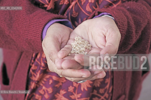 Rome October 24, 2015..Vandana Shiva, photographed in Rome, political activist and environmentalist, among the main leaders of the International Forum on Globalization, in 1993 he received the Right Livelihood Award, known as the Alternative Nobel Prize/Vandana Shiva, fotografata a Roma, attivista politica e ambientalista,  tra i principali leader dellInternational Forum on Globalization, nel 1993 ha ricevuto il Right Livelihood Award, conosciuto come il Premio Nobel alternativo..Photo: RINO BIANCHI ©Rino Bianchi/Rosebud2