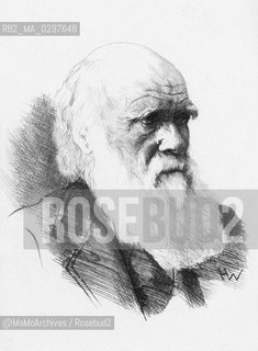 British naturalist Charles Robert Darwin (1809-1882), known for his contribution to evolutionary theory / Il naturalista inglese Charles Robert Darwin (1809-1882), famoso per aver formulato la teoria evoluzionista delle specie animali e vegetali - Reproduced by MaMoArchives/Rosebud2