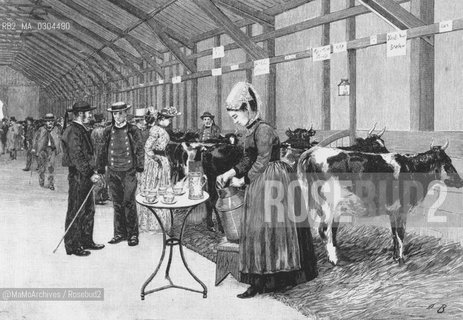 Expo Paris 1889:  International competition for productive animals: the Breton cows / Esposizione universale di Parigi 1889: Concorso internazionale per animali produttivi: le mucche bretoni - Reproduced by Marcello Mencarini @MaMoArchives/Rosebud2