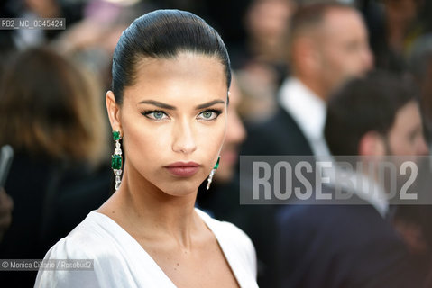 La modella Adriana Lima sul red carpet per la premiere del film Julieta alla 69esima edizione del Festival del Cinema di Cannes, maggio 2016. Model Adriana Lima attends the Julieta premiere during the 69th annual Cannes Film Festival at the Palais des Festivals on May 17, 2016 ©Monica Cillario/Rosebud2