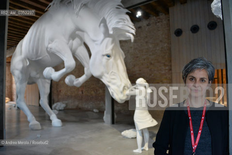 Lartista argentina Claudia Fontes posa accanto una sua opera, intitolate The Horse Problem, esposta nel Padiglione Argentina, alla 57° edizione della  Biennale Arte di Venezia, 9 maggio 2017. .argentinean artist Claudia Fontes poses next his artistic works, titled The Horse Problem, inside Argentina Pavilion, at Biennale Modern Art in Venice, may 09, 2017. ©Andrea Merola/Rosebud2