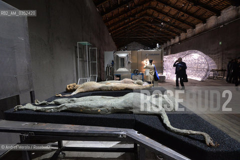 Panoramica su Imitazione di Cristo dellartista Italiano Roberto Cuoghi, opera  presentata nel Padiglione Italia, per la 57° Biennale Arte, Venezia 9 maggio 2017..A view of Imitation of Christ, artistic work by italian artist Roberto Cuoghi, Italia Pavilion, 57°th Biennale Arte, may 09, Venice 2017. ©Andrea Merola/Rosebud2