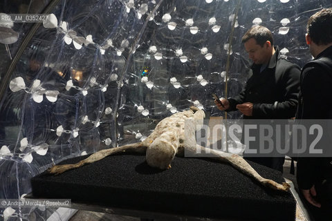 Panoramica su Imitazione di Cristo dellartista Italiano Roberto Cuoghi, opera  presentata nel Padiglione Italia, per la 57° Biennale Arte, Venezia 9 maggio 2017..A view of Imitation of Christ, artistic work by italian artist Roberto Cuoghi, Italia Pavilion, 57°th Biennale Arte, may 09, Venice 2017. ©Andrea Merola/Rosebud2