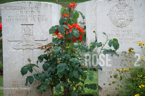 Lapidi indicano la sepoltura di soldati del Regno Unito, morti sul fronte del Piave nel 1918, nel cimitero britannico in località Giavera del Montello..Dal 1917 fino alla fine del conflitto nel 1918 furone tre le divisioni britanniche schierate sul fornte del Piave, per un totale di quarantamila uomini, a sostegno del Regio Esercito Italiano. Quattrocentosedici soldati del Regno Unito sono sepolti a Giavera. © Andrea MEROLA.Gravestones indicate the burial of soldiers of the United Kingdom, who died on the Piave front in 1918, in the British cemetery in the locality of Giavera del Montello..From 1917 until the end of the conflict in 1918, three British divisions were deployed on the Piave, for a total of forty thousand men, in support of the Royal Italian Army. Four hundred and sixteen soldiers from the United Kingdom are buried in Giavera.  ©Andrea Merola/Rosebud2