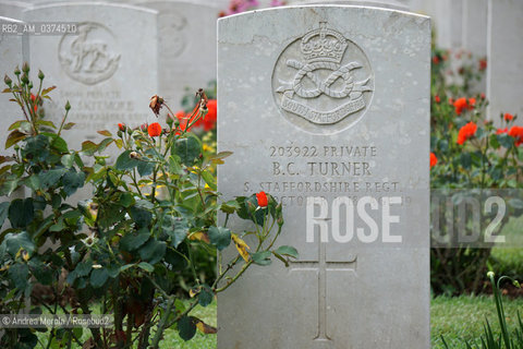 Lapidi indicano la sepoltura di soldati del Regno Unito, morti sul fronte del Piave nel 1918, nel cimitero britannico in località Giavera del Montello..Dal 1917 fino alla fine del conflitto nel 1918 furone tre le divisioni britanniche schierate sul fornte del Piave, per un totale di quarantamila uomini, a sostegno del Regio Esercito Italiano. Quattrocentosedici soldati del Regno Unito sono sepolti a Giavera. © Andrea MEROLA.Gravestones indicate the burial of soldiers of the United Kingdom, who died on the Piave front in 1918, in the British cemetery in the locality of Giavera del Montello..From 1917 until the end of the conflict in 1918, three British divisions were deployed on the Piave, for a total of forty thousand men, in support of the Royal Italian Army. Four hundred and sixteen soldiers from the United Kingdom are buried in Giavera.  ©Andrea Merola/Rosebud2