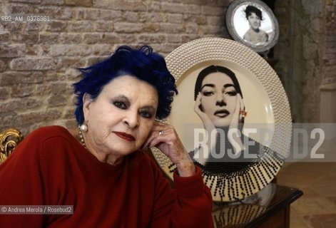 L’attrice italiana Lucia Bosè a Venezia per presentare “Piatti”, una selezione dei collagges artistici di sua invenzione, nel salone espositivo dell’hotel Mocenico, Venezia 1 dicembre 2018..The Italian actress Lucia Bosè in Venice to present Piatti, a selection of the artistic collagges of her invention, in the exposition hall of the Mocenico hotel, Venice 1 December 2018. ©Andrea Merola/Rosebud2