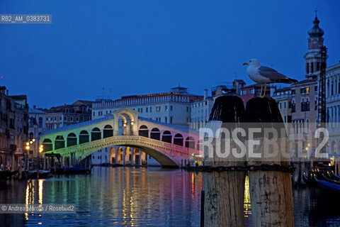 Venezia durante il lockdown, il ponte di Rialto sul Canal Grande illuminato con i colori del Tricolore italiano, lunedì 27 aprile 2020. ©Andrea Merola/Rosebud2