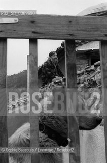 Portrait of Jean-Pierre (Jean Pierre) Chabrol, le 27 mai 1975  ©Sophie Bassouls/Leemage/Rosebud2