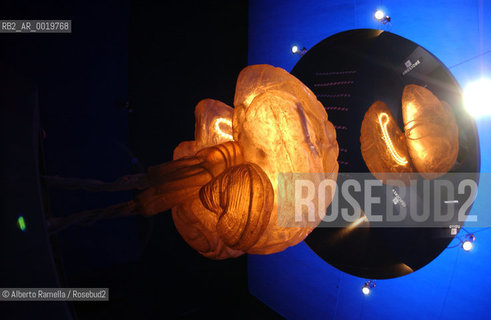 science, exhibition about brain, experimenta, turin, 2002, ©Alberto Ramella/Rosebud2