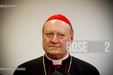 09/05/14, Torino, Lingotto Fiere, Salone del Libro 2014, nella foto: comunicare la fede Monsignor Gianfranco Ravasi ©Alberto Ramella/Rosebud2